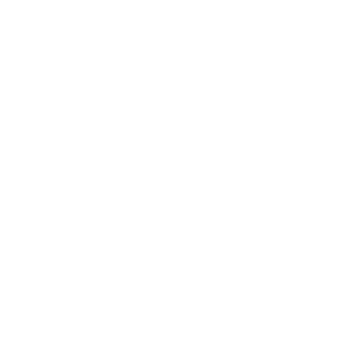 Icon for homepage: two hands with dollar sign