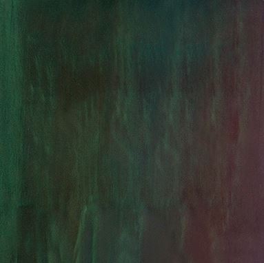 Torginol Pigment